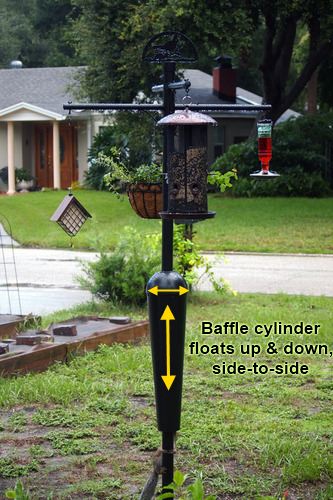 best squirrel proof bird feeder pole system baffle best squirrel proof bird feeder pole system baffle