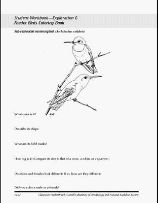 Bird Coloring Pages on Student Workbook That Includes Questions On Each Bird Coloring