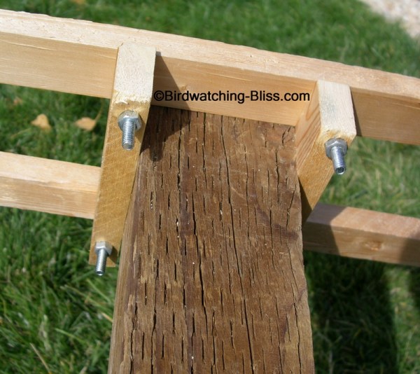 Free Platform Bird Feeder Plans