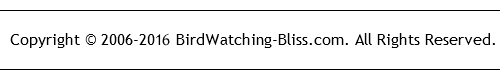 about us birdwatching page
