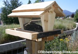 wood plans for bird feeder