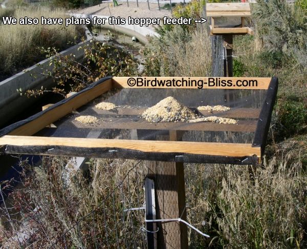 Platform Bird Feeder Plans - Style 2*