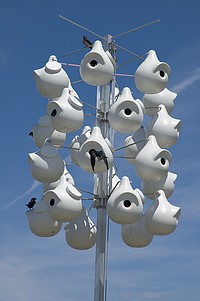 Purple Martin Bird Houses