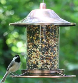 tube bird feeders top rated easy to fill and clean tube bird feeders top rated easy to fill and clean