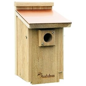 Wooden Bird House Plans