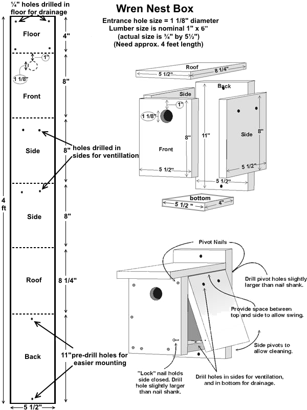 Birdhouse Hole Size Chart