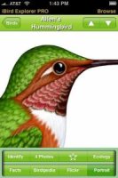 best birding apps