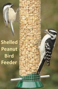 peanut bird feeder attracts a variety of birds peanut bird feeder attracts a variety of birds