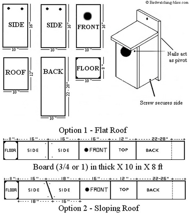 American Kestrel Nest Box Plans