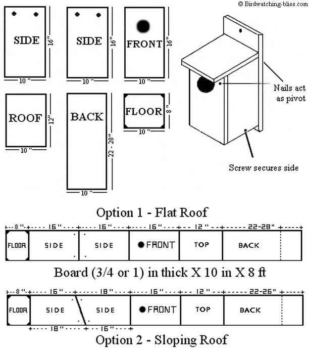 Nest Box Hole Size Chart