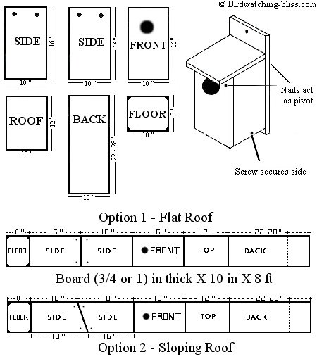 American Kestrel Nest Box Plans