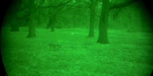 Gen 3 night vision binoculars