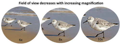 8x vs 10x magnification in binoculars field of view