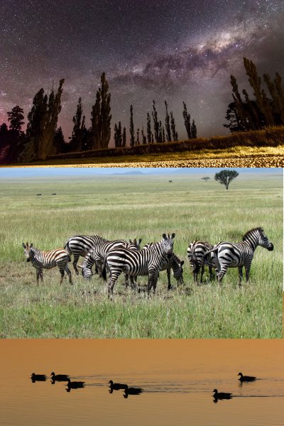 best high power binocualars for hunting, astronomy, bird watching