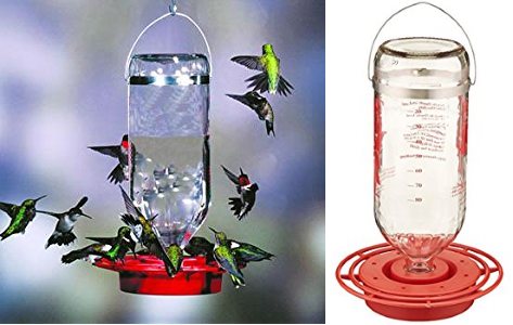 best hummingbird feeder glass bottle