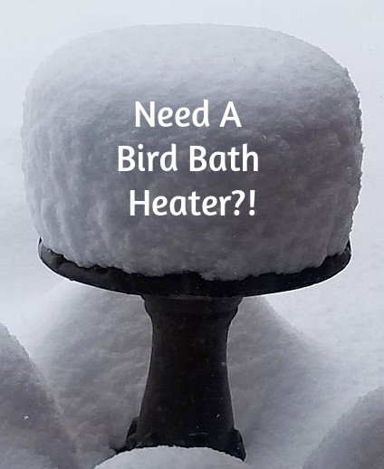 bird bath heater to keep water from freezing