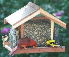 best hopper bird feeders