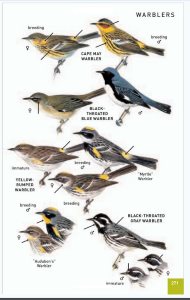 review of the best bird field guides
