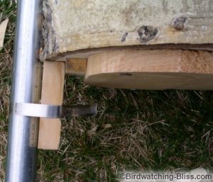 bird house log pole