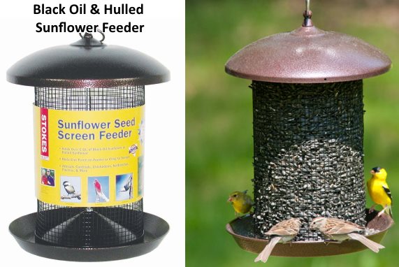 black oil sunflower seed bird feeder whole and hulled