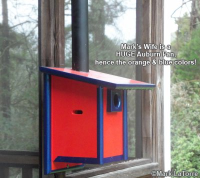 bluebird bird house plans