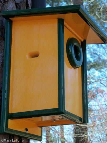 bleubird house hole guard