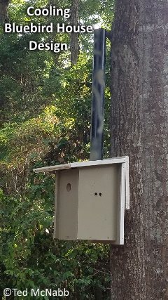 cooling bluebird nest box plans