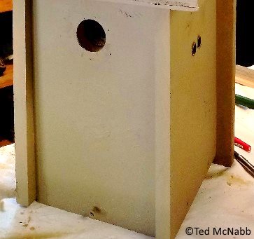 bluebird house plans hole size