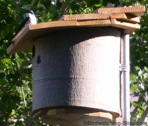 how to build a bird house plans