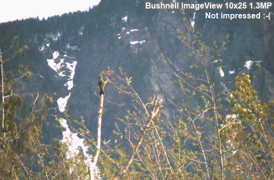 bushnell binocular camera