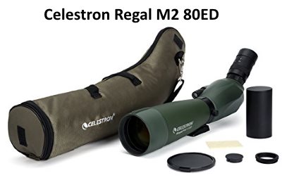 celestron regal m2 80ed spotting scope review