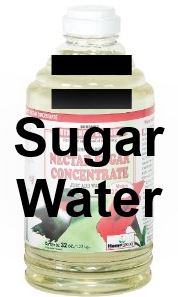 clear hummingbird nectar concentrate is not any better for hummingbirds