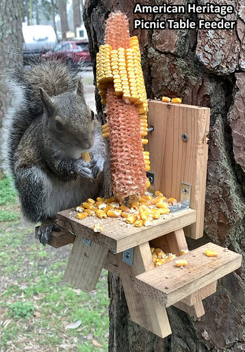 funny squirrel feeder picnic table