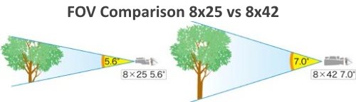 fov field of view comparison in binoculars