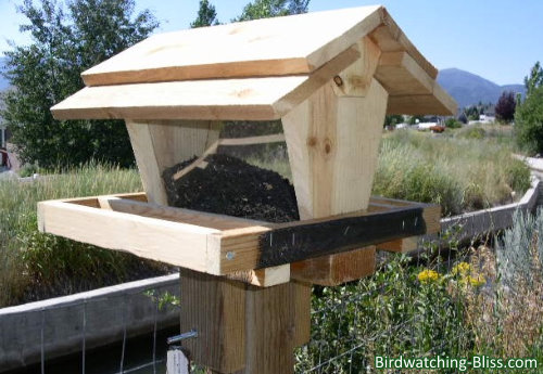 free bird feeder plans
