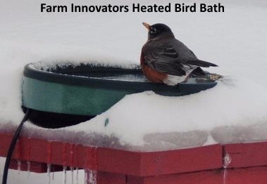 This heated bird bath can be mounted to deck or post or placed on the ground with the attached legs.
