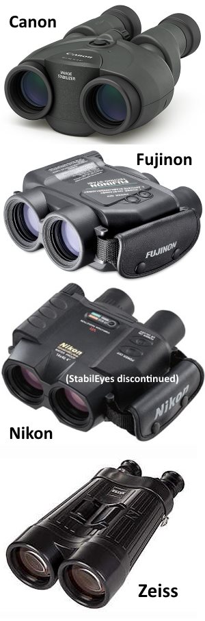 image stabilized binoculars review of Canon, Fujinon, Nikon, and Zeiss