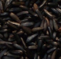 Nyger Seed