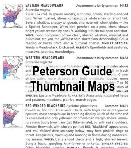 peterson field guide to birds thumbnail maps