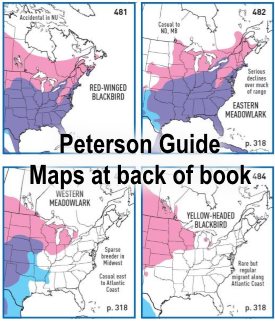 peterson bird field guide range maps