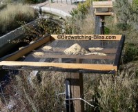 free platform bird feeder plans