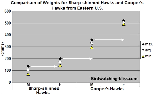 Sharp-shinned Hawks and Cooper's Hawks weight
