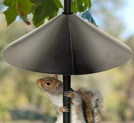 best squirrel baffle for bird feeders