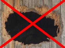 squirrel chewed hole in bird house install guard