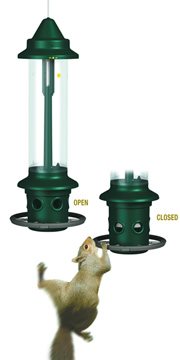 Best Squirrel Proof Bird Feeder port closes