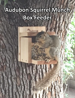 tree mounted squirrel table