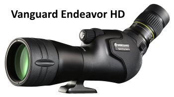 vanguard endeavor hd 20-60x65 spotting scope for birding