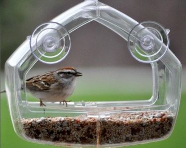 best window bird feeders