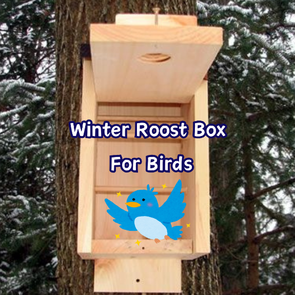winter roost box for birds
