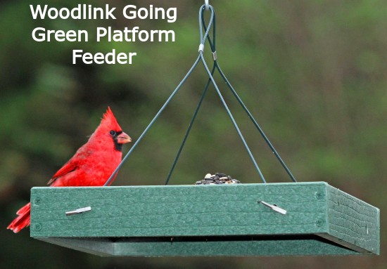 best cardinal bird feeder woodlink going green